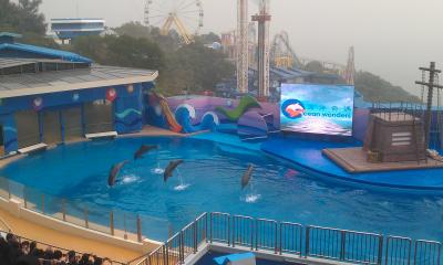Aquashow